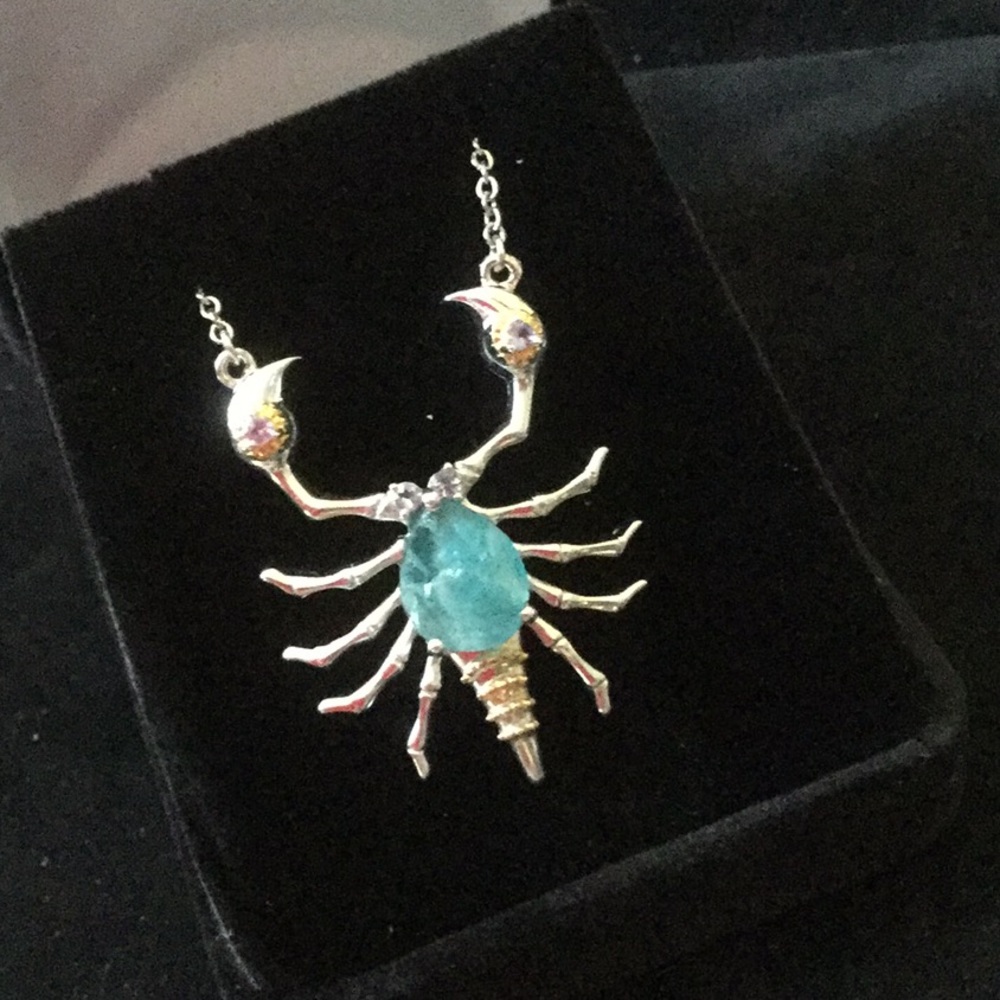 Exquisite Genuine Fluorite & Tanzanite Scorpion - Picture 7 of 8